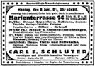 vergrößerte Ansicht: 
