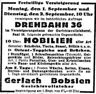 vergrößerte Ansicht: 